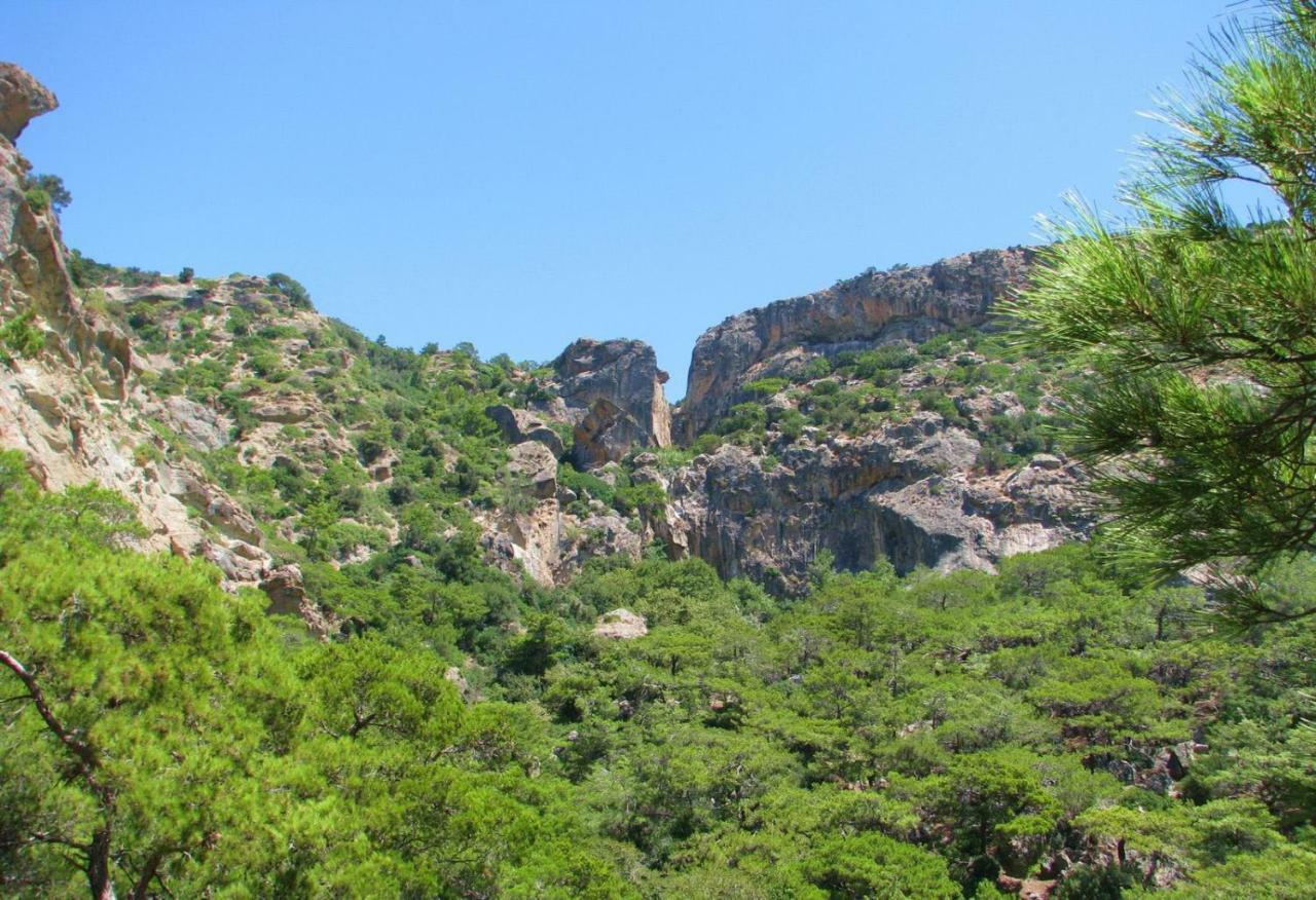 Villa Kalliopi 코츠나리 외부 사진